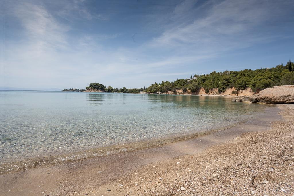 Dream Summer Villa Porto Cheli Exteriér fotografie
